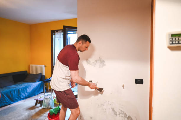 Crawl Space Mold Removal in Petoskey, MI
